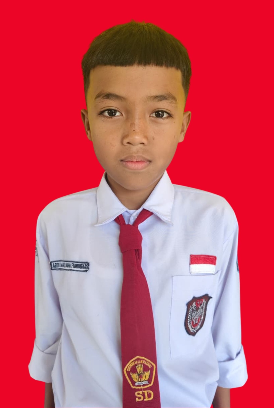ARBI MAULANA PAMUNGKAS